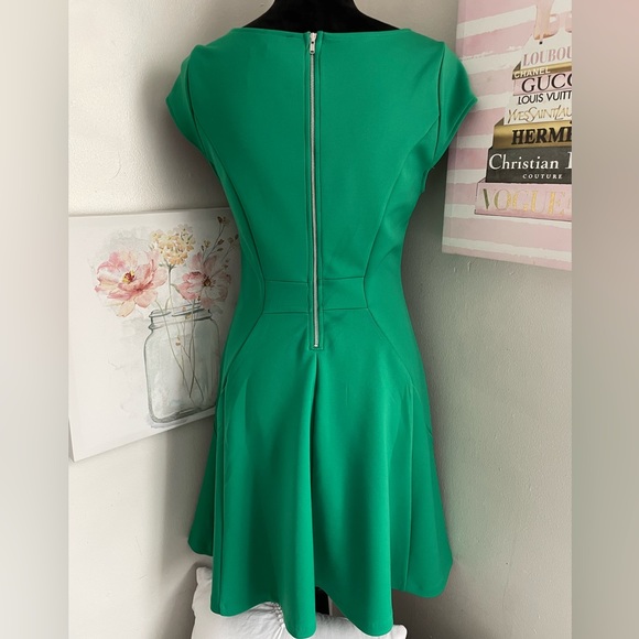 The Limited Dress - Picture 2 of 2